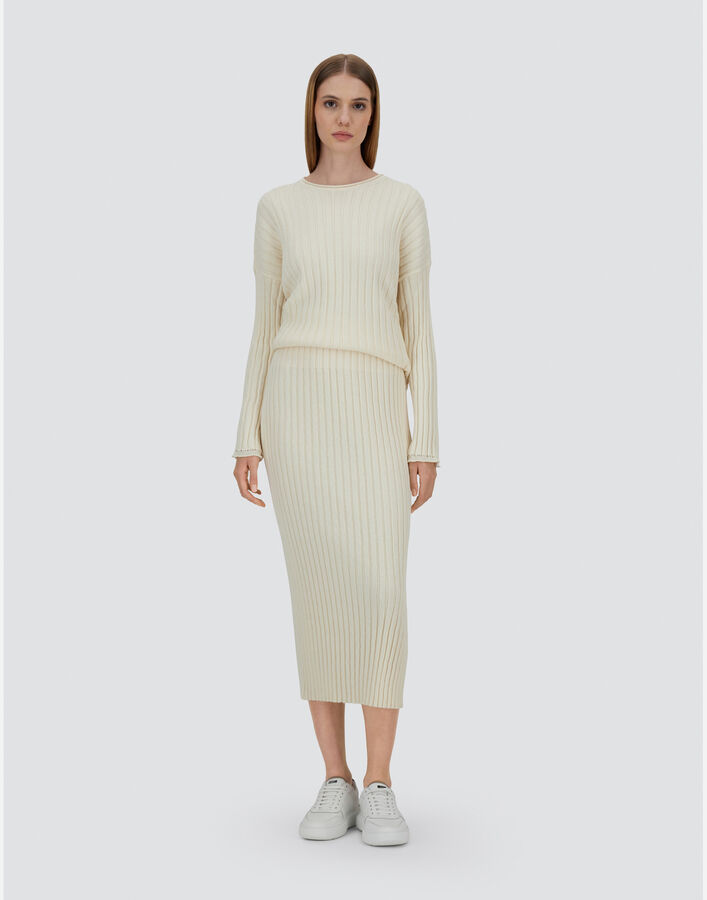 Erno Black Skirt main image 1